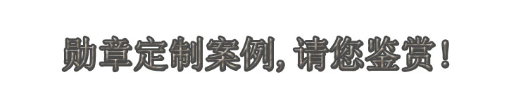 勋章定制案例