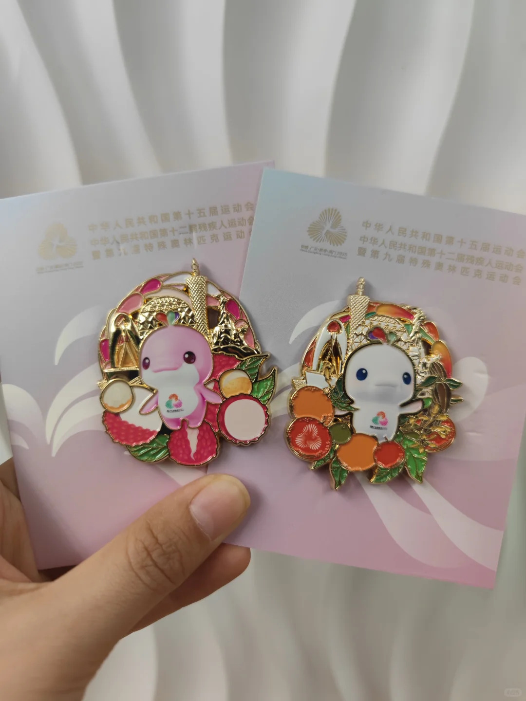 十五届全运会吉祥物大湾鸡文创徽章,纪念章